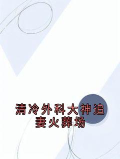 清冷外科大神追妻火葬场