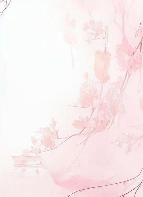 我发的弹幕，成了女配的催命符